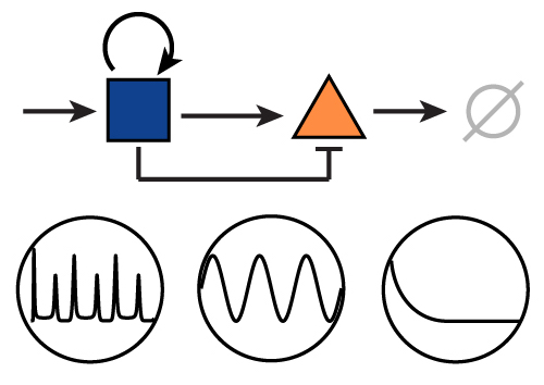 temporal_signal_processing